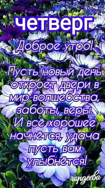 Картинки Доброе утро четверга. Картинки Доброе утро четверга красивые 