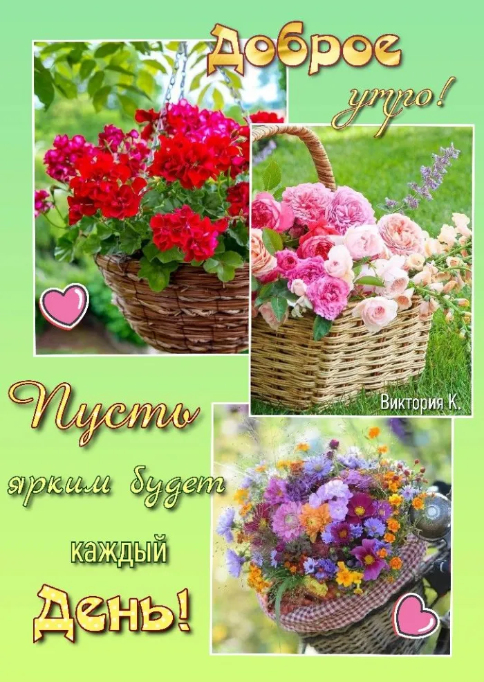 Картинки "Доброе утро" позитивные. С Добрым утром - позитивные картинки
