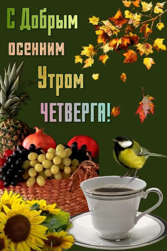 Картинки Доброе утро четверга. Картинки Доброе утро четверга красивые 