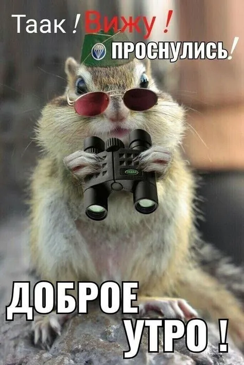 Летние картинки "Доброе утро" (70+ фото). Летние картинки с пожеланием Доброго утра