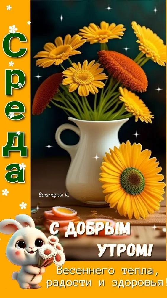 Картинки с Добрым утром среды. Красивые картинки "Доброе утро среды"