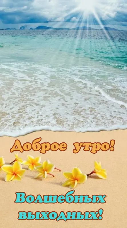 80+ картинок с Добрым утром субботы. Доброе утро субботы и хороших выходных