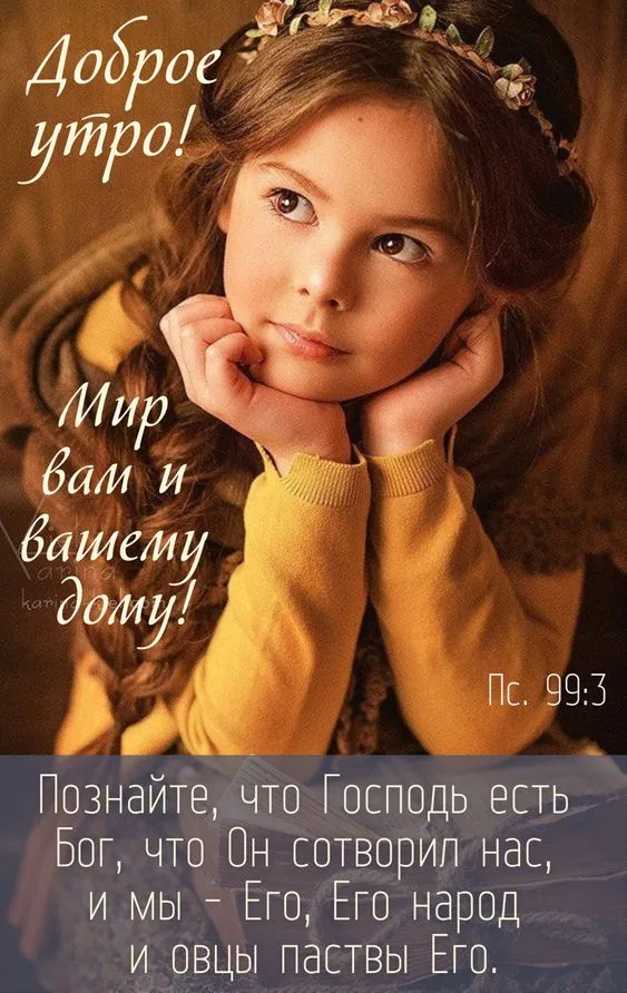 Красивые картинки "Доброе утро". Доброе утро - картинки красивые с пожеланиями