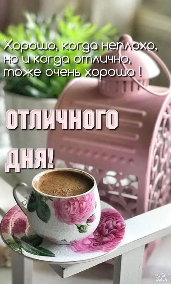 100+ картинок "Хорошего и доброго дня" . Картинки "Хорошего и доброго дня"