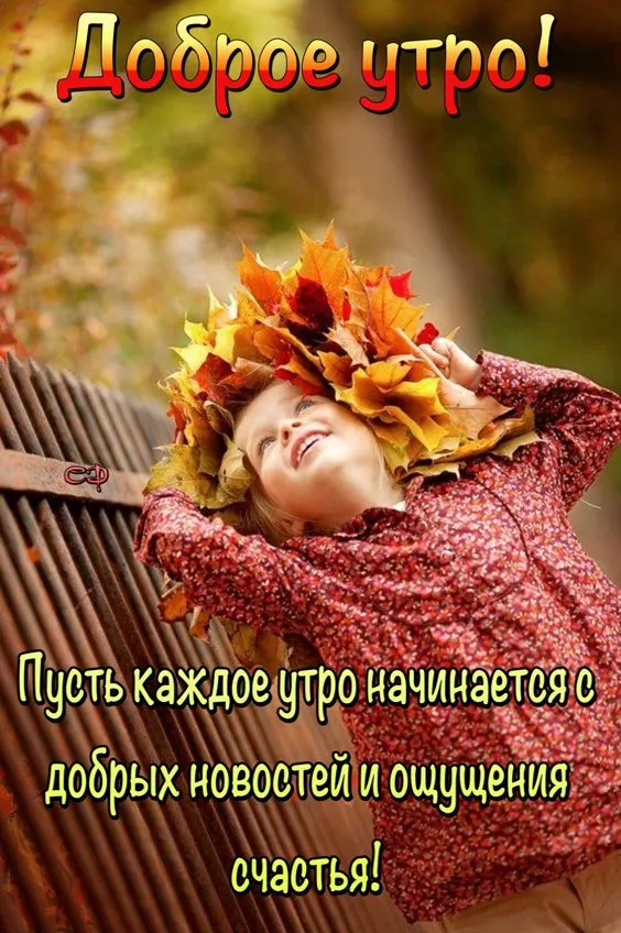 Осенние картинки "Доброе утро" (65 открыток). Осенние картинки Доброе утро