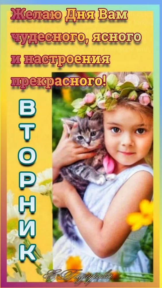 Картинки Доброе утро вторника. Картинки "Доброе утро вторника" красивые