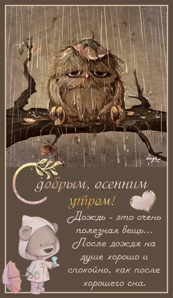 Красивые картинки "Доброе утро". Картинки "Доброе утро" красивые и прикольные