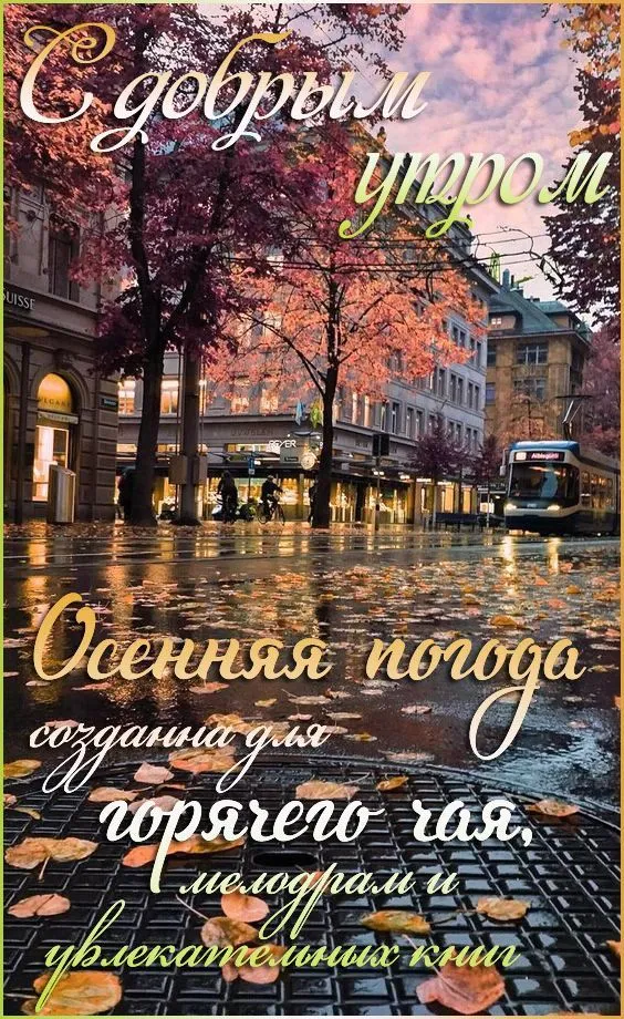 Осенние картинки "Доброе утро" (65 открыток). Осенние картинки Доброе утро