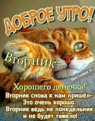 Картинки Доброе утро вторника. С Добрым утром вторника - прикольные картинки