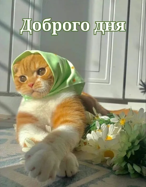 100+ картинок "Хорошего и доброго дня" . Прикольные картинки "Хорошего дня и настроения"