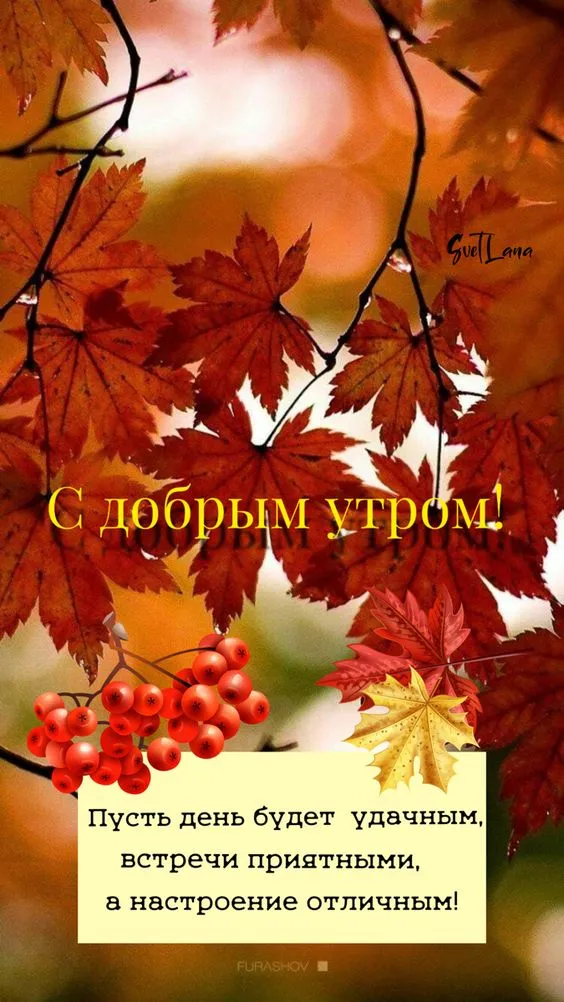 Осенние картинки "Доброе утро" (65 открыток). С Добрым утром - осенние картинки с пожеланиями