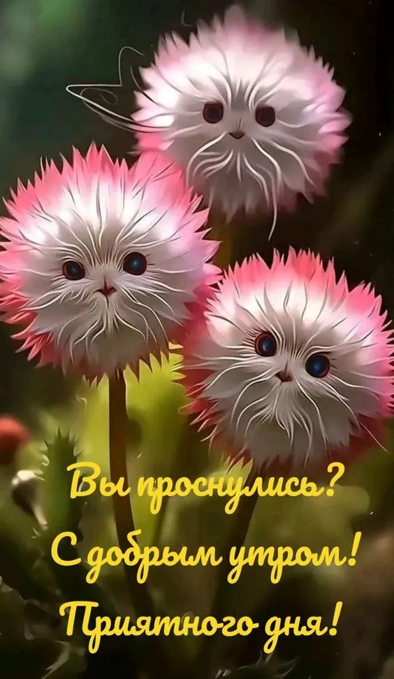 Красивые картинки "Доброе утро". Картинки "Доброе утро" красивые и прикольные