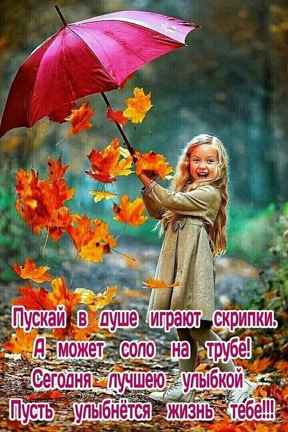 Осенние картинки "Доброе утро" (65 открыток). Прикольные осенние картинки "С Добрым утром"