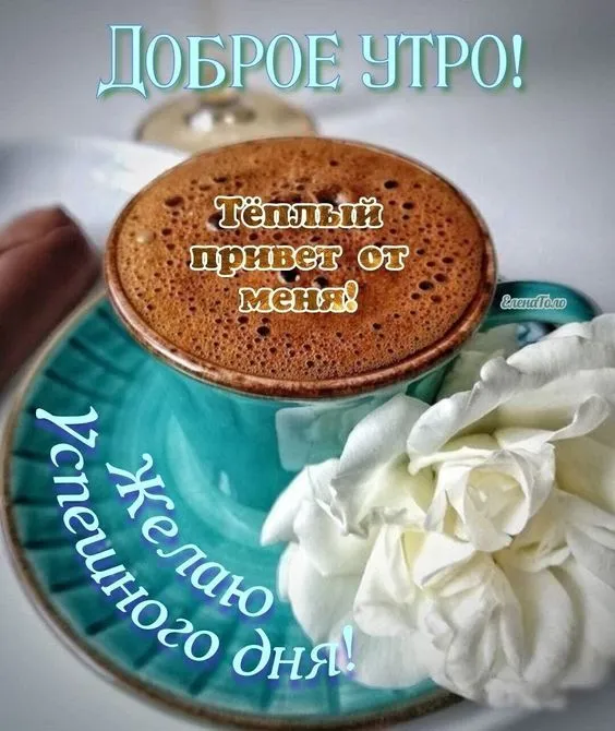 100+ картинок "Хорошего и доброго дня" . Хорошего дня - картинки с пожеланиями