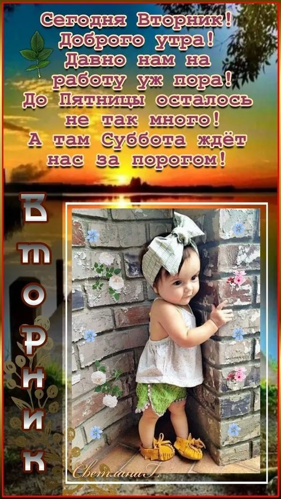 Картинки Доброе утро вторника. С Добрым утром вторника - картинки красивые и необычные