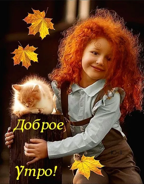 Осенние картинки "Доброе утро" (65 открыток). Прикольные осенние картинки "С Добрым утром"