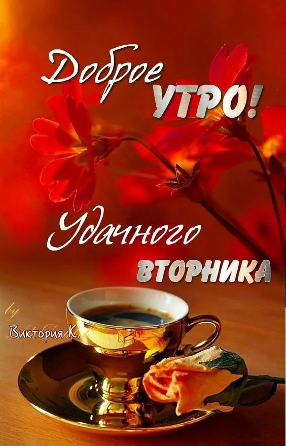 Картинки Доброе утро вторника. Картинки "Доброе утро вторника" красивые