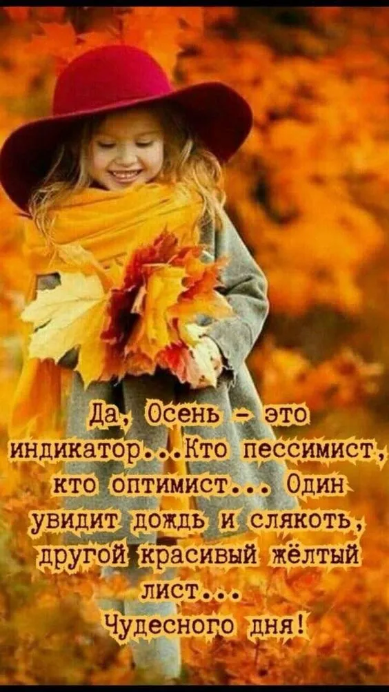 Осенние картинки "Доброе утро" (65 открыток). Осенние картинки Доброе утро