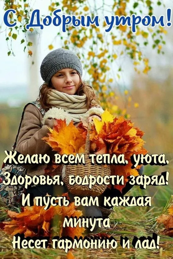 Осенние картинки "Доброе утро" (65 открыток). С Добрым утром - осенние картинки с пожеланиями