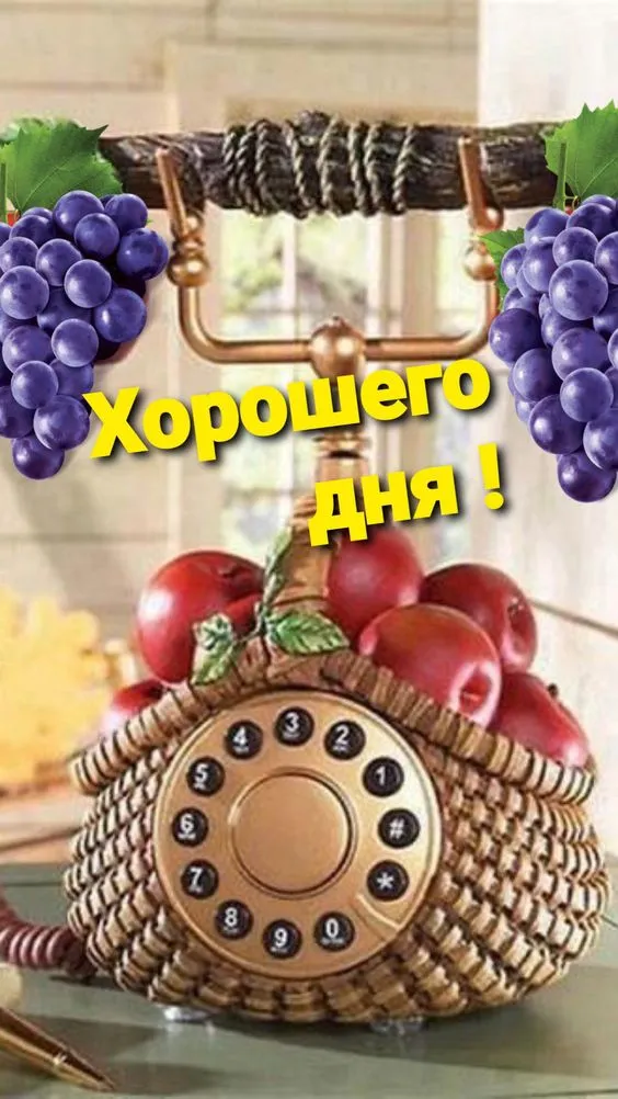 100+ картинок "Хорошего и доброго дня" . Картинки "Хорошего и доброго дня"
