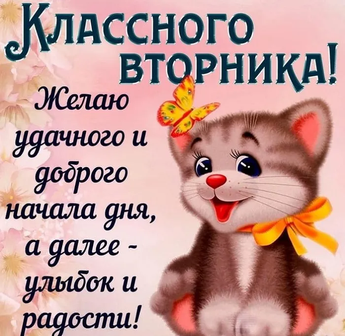 Картинки Доброе утро вторника. С Добрым утром вторника - прикольные картинки