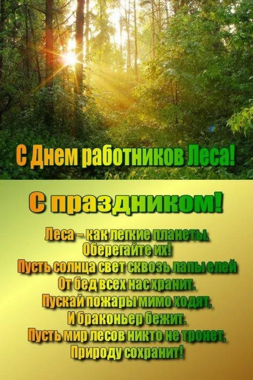 Открытки с Днем работников леса. С Днем работников леса - картинки с поздравлениями
