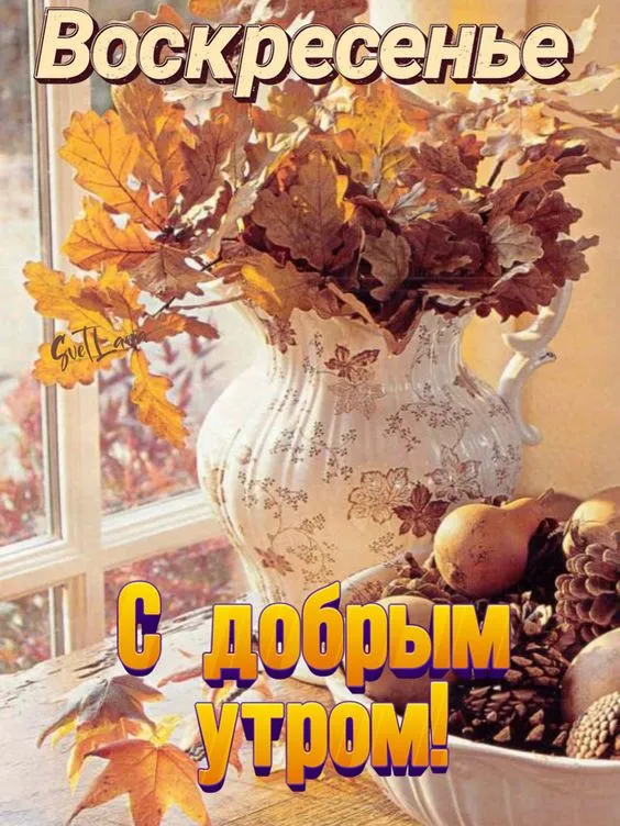 100+ картинок с Добрым утром Воскресенья. Красивые картинки Доброе утро воскресенья