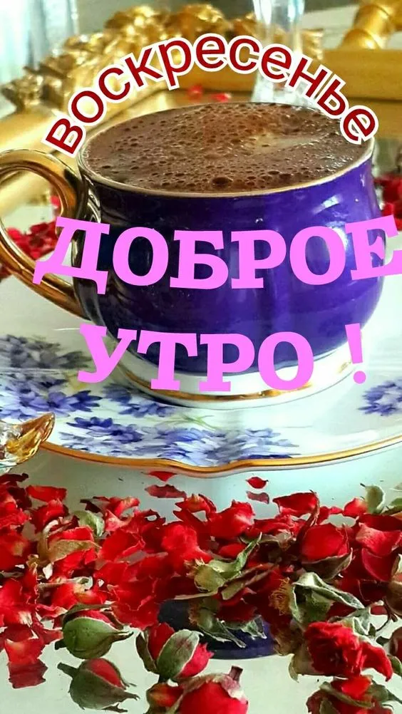 100+ картинок с Добрым утром Воскресенья. Картинки с Добрым утром воскресенья необычные