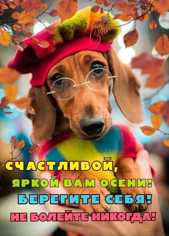 Осенние картинки "Доброе утро" (65 открыток). Осенние картинки Доброе утро