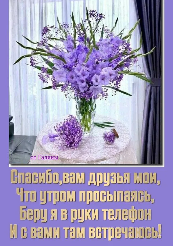 Красивые картинки "Доброе утро". Доброе утро - картинки красивые с пожеланиями