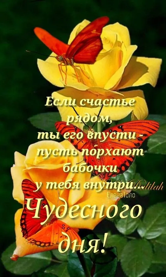 100+ картинок "Хорошего и доброго дня" . Хорошего дня - картинки с пожеланиями