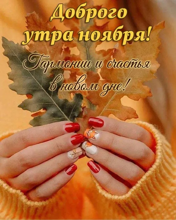 Осенние картинки "Доброе утро" (65 открыток). Прикольные осенние картинки "С Добрым утром"