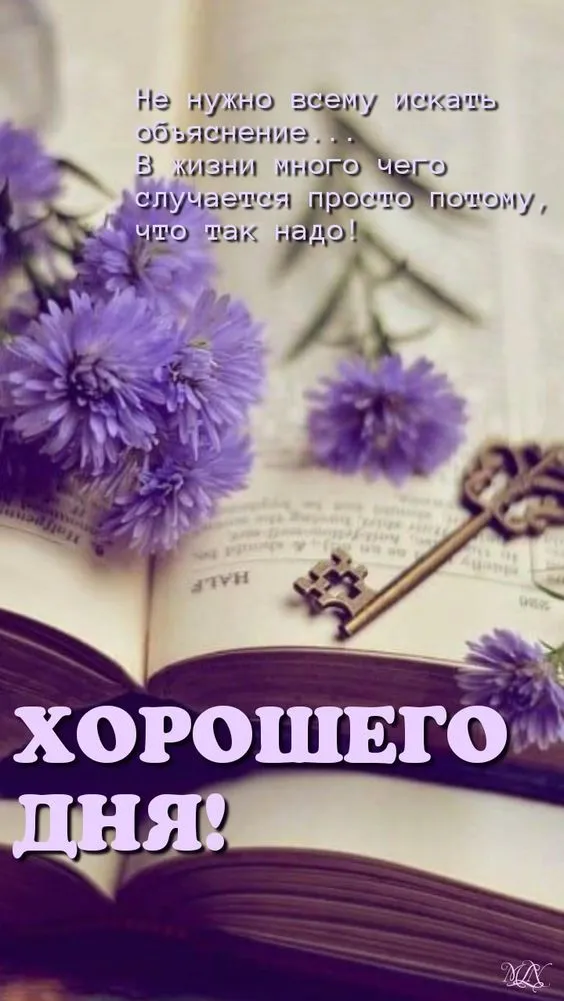 100+ картинок "Хорошего и доброго дня" . Картинки "Хорошего и доброго дня"