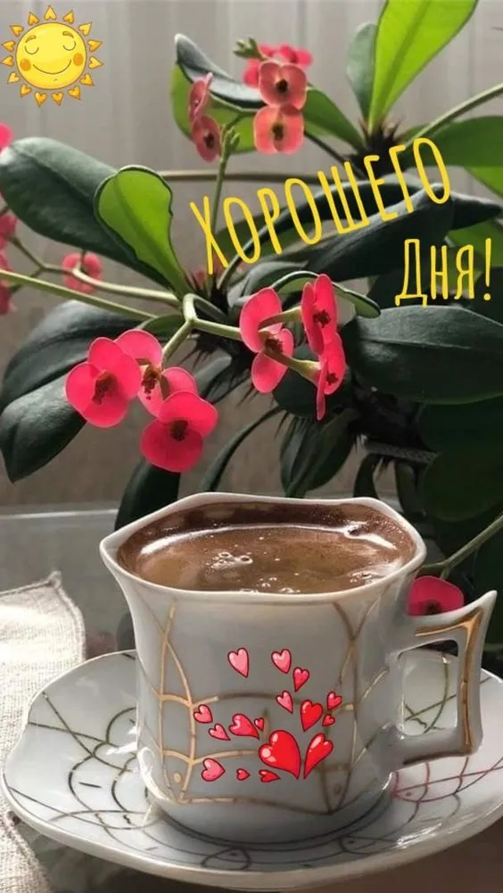 100+ картинок "Хорошего и доброго дня" . Картинки "Хорошего и доброго дня"