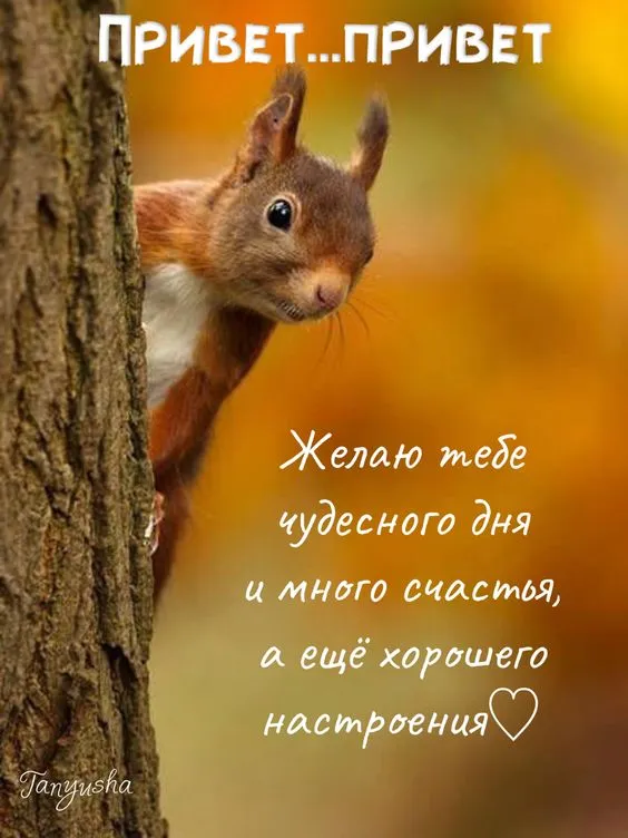 100+ картинок "Хорошего и доброго дня" . Хорошего дня - картинки с пожеланиями