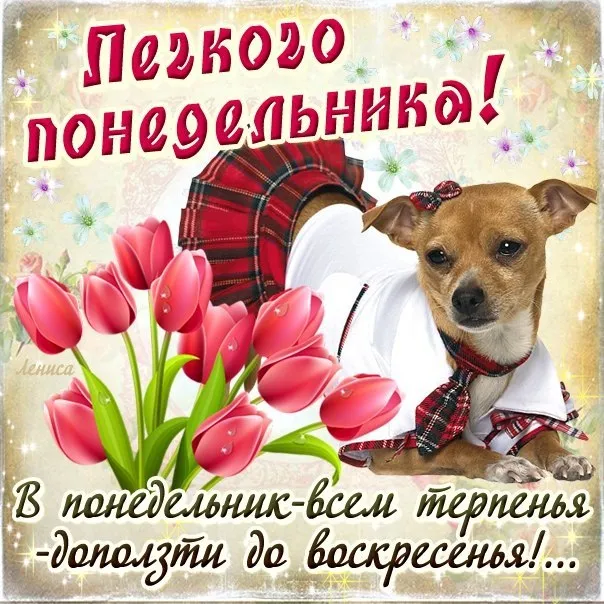 Картинки "Доброе утро понедельника". Доброе утро понедельника - картинки с пожеланиями