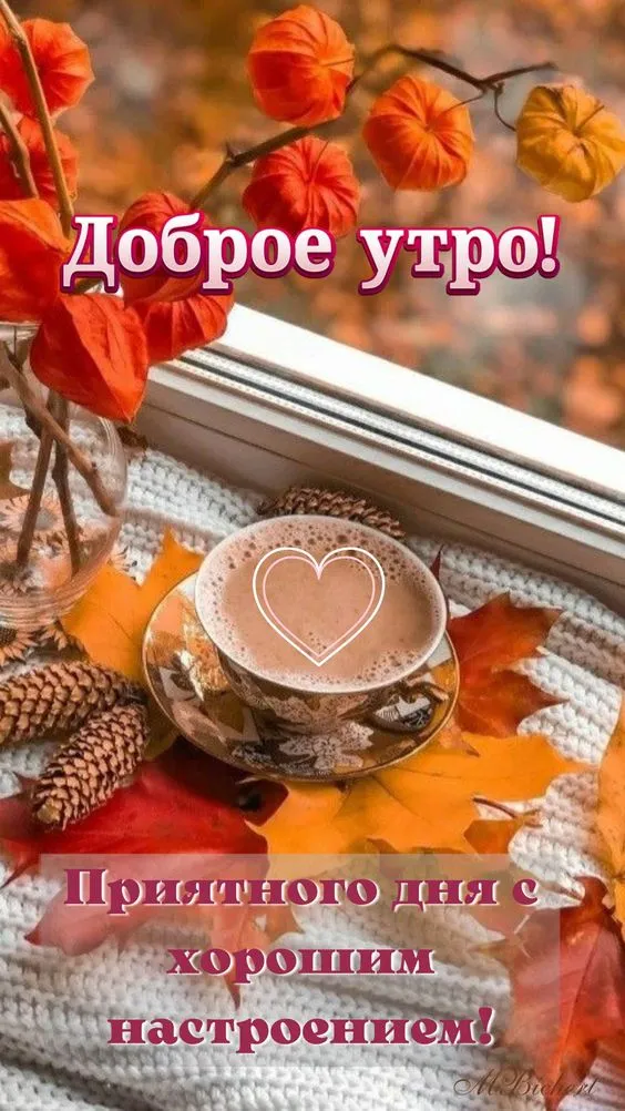 Осенние картинки "Доброе утро" (65 открыток). Прикольные осенние картинки "С Добрым утром"