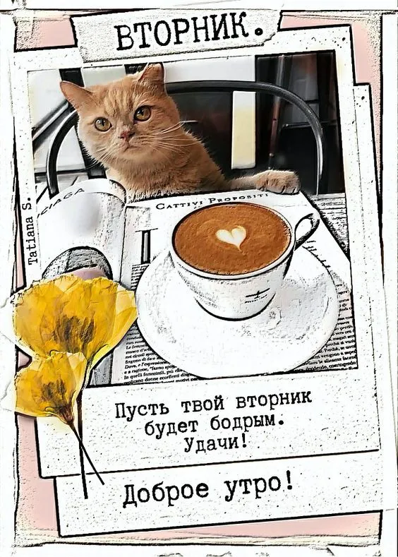 Картинки Доброе утро вторника. С Добрым утром вторника - картинки красивые и необычные