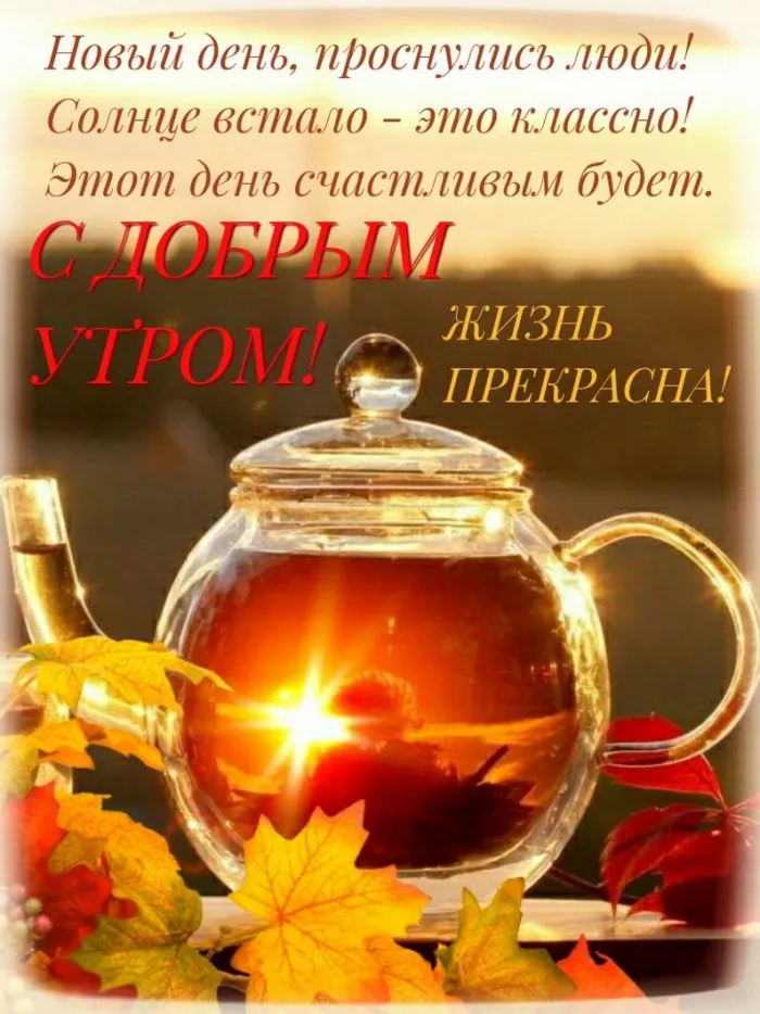 Осенние картинки "Доброе утро" (65 открыток). Прикольные осенние картинки "С Добрым утром"