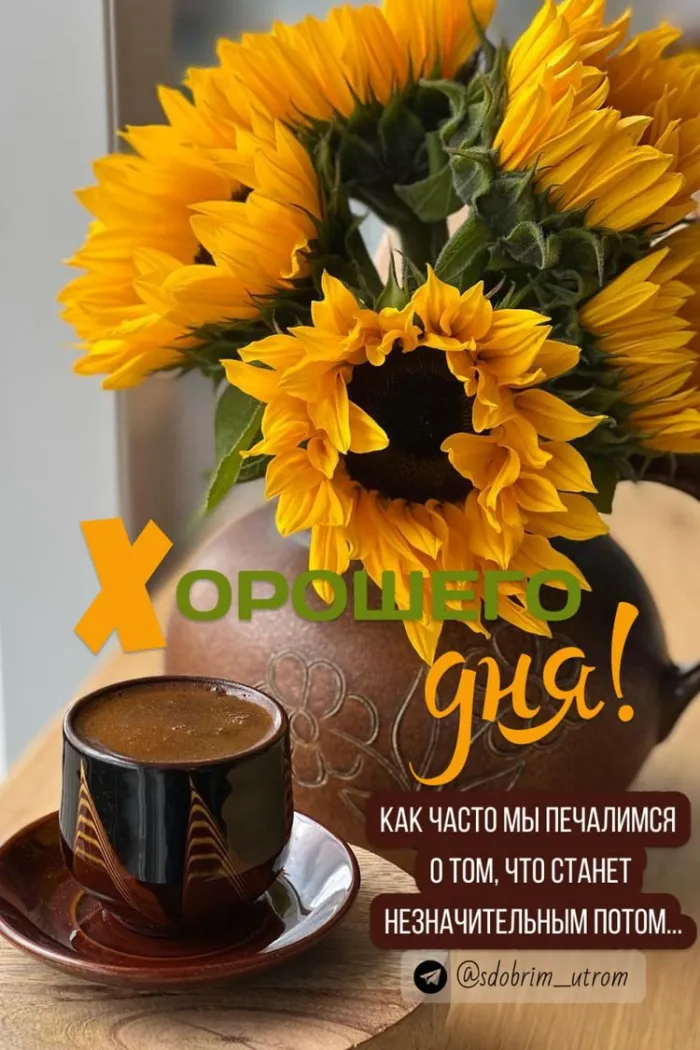 100+ картинок "Хорошего и доброго дня" . Картинки с пожеланями Хорошего и доброго дня