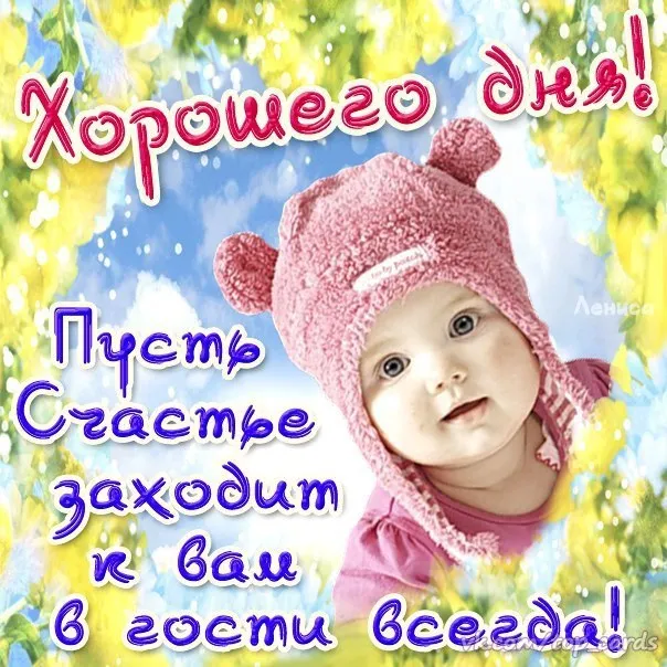 100+ картинок "Хорошего и доброго дня" . Прикольные картинки "Хорошего дня и настроения"