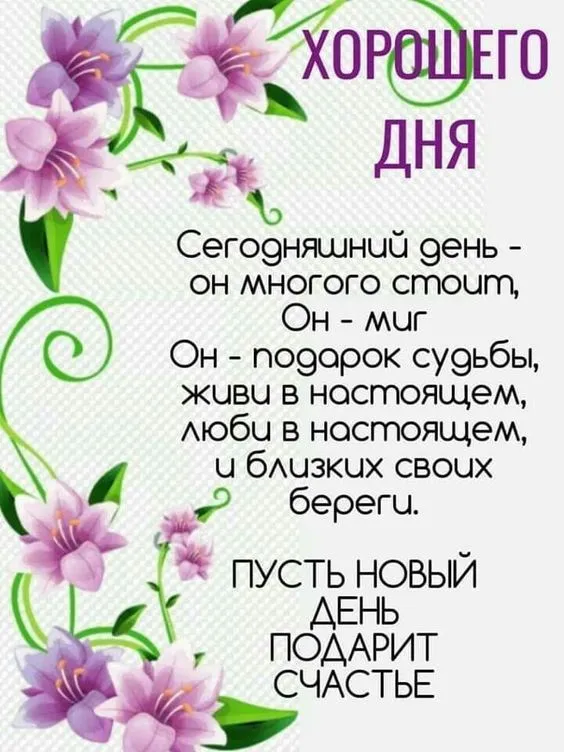 100+ картинок "Хорошего и доброго дня" . Хорошего дня - картинки с пожеланиями