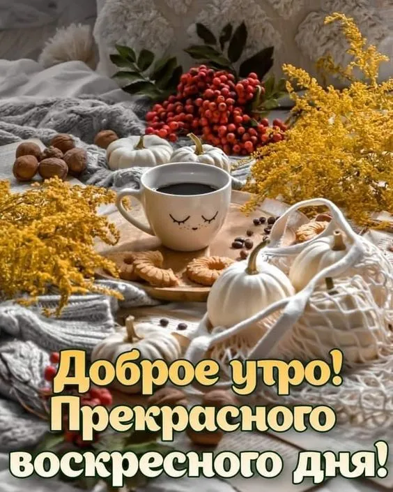 100+ картинок с Добрым утром Воскресенья. Красивые картинки Доброе утро воскресенья