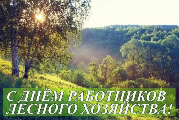 Открытки с Днем работников леса. Картинки с Днем работника леса 2023