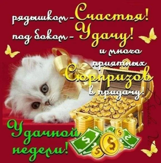 Картинки "Доброе утро понедельника". Доброе утро понедельника - картинки с пожеланиями