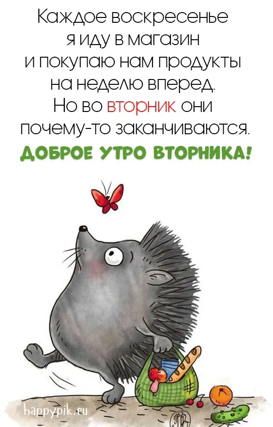 Картинки Доброе утро вторника. С Добрым утром вторника - прикольные картинки