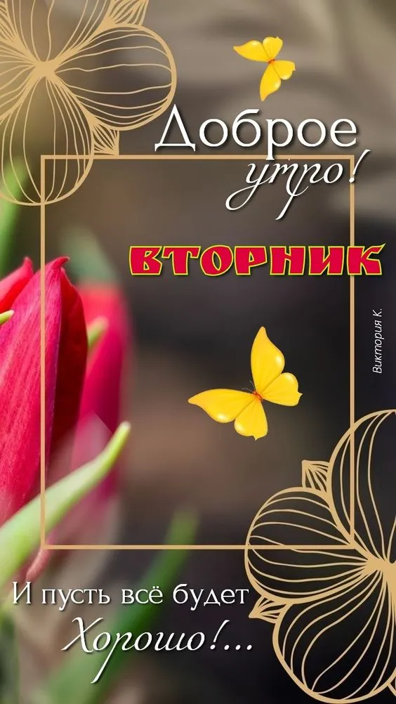 Картинки Доброе утро вторника. Картинки "Доброе утро вторника" красивые