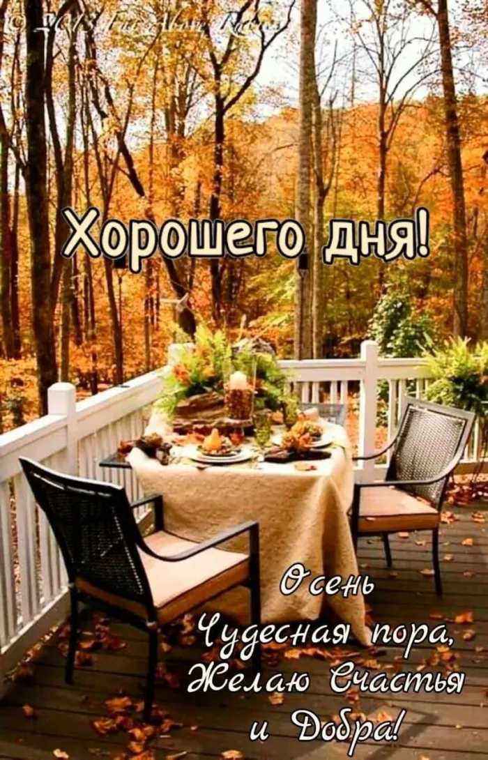 Осенние картинки "Доброе утро" (65 открыток). Прикольные осенние картинки "С Добрым утром"
