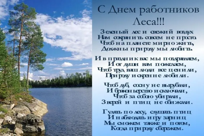 Открытки с Днем работников леса. С Днем работников леса - картинки с поздравлениями