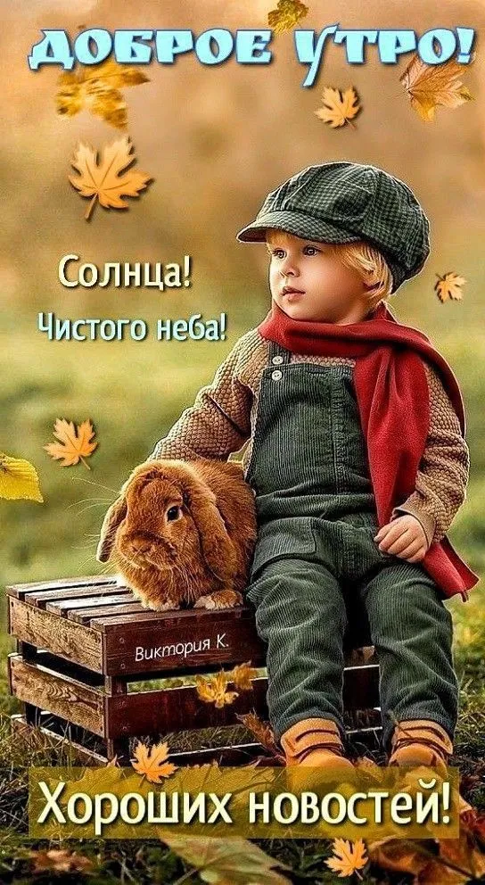 Красивые картинки "Доброе утро". Картинки "Доброе утро" красивые и прикольные